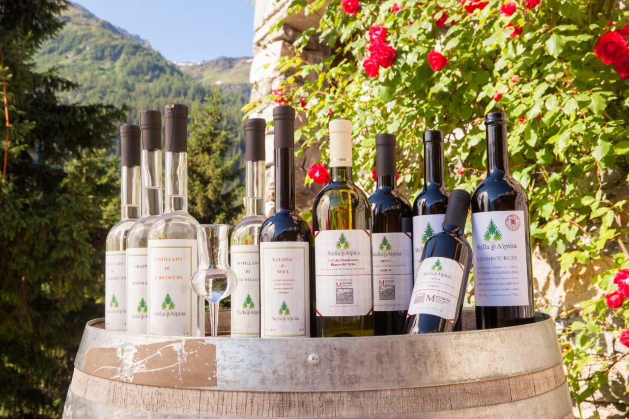 Stella Alpina - & Wellness Spa, The Originals Relais Hotel